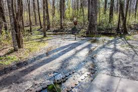 Many believe in the water's healing properties. God S Acre Healing Springs Sc Picture Project