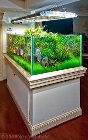 Aquarium Photo Gallery Beautiful Discus Tank Aquarium Aquarium Fish Aquarium Fish Tank