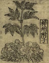 Chen fa ke the great master of chen tai ji quan. Poisons In The Premodern World Liu Encyclopedia Of The History Of Science