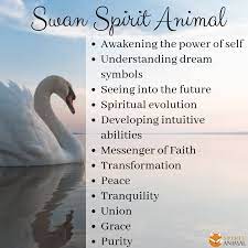 Swan Spirit Animal Spirit Animal Info Spirit Animal Meaning Spirit Animal Totem Swan Spirit Animal