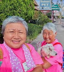 FEEL GOOD FRIDAY🐾 When Noodle the Poodle came to us, she was in bad shape.  We got to work straight away, and found that she had a broken pelvis and an  injured