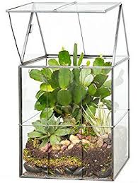 Amazon Com Deco Glass Terrarium Succulent Air Plant Hinged Garden Outdoor Air Plant Terrarium Air Plants Carnivorous Plants Terrarium