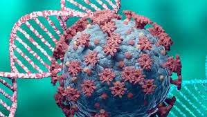 On 14 june 2021, the world health organization (who) named it lambda variant and designated it as a variant of interest. K7 Ooncxoghupm