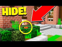 Servers which offer their users the ability to use admin commands. The Best Hiding Spot Minecraft Hide Seek Minecraft Mods Minecraft Hiding Spots Minecraft Mods