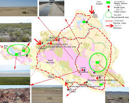 Image result for Zygophyllum leucocladum