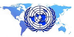 Como foro plurigubernamental, busca el. Organigrama De La Onu Web Y Empresas