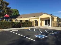 We know our child is in loving, ca. Little Flowers Montessori Walnut Creek Campus
