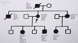 The production of a family history diagram, also known as a genetic pedigree. Family Trees