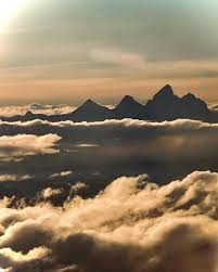 Madeleine Donovan (@madeleinechgo) • Instagram photos and videos