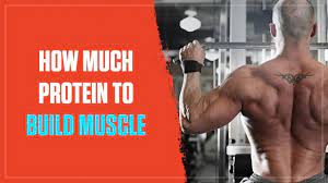 But let's be clear—the rda is just the minimum amount you need to meet your baseline nutritional requirements. How Much Protein You Should Eat To Build Muscle Legion Athletics