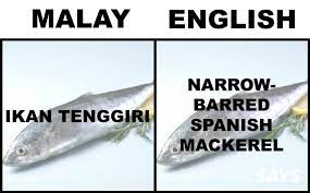 The vessel is en route to the port of singapore, sailing at a speed of 11.6 knots and expected to arrive there on feb 14, 22:00. What S Ikan Patin In English Here Are 17 Translations Of Fish Malaysians Love