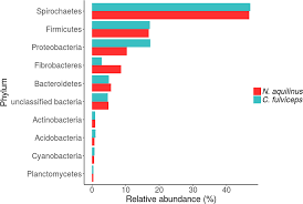 Maybe you would like to learn more about one of these? Neotropical Termite Microbiomes As Sources Of Novel Plant Cell Wall Degrading Enzymes Scientific Reports