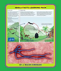 Ebola Facts Learning Pack Reading Interactive Ccss 21pp Literacy Practice Facts Learning