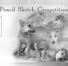 Knowing how to draw with different types of pencils can help beginners expand their drawing skills. Pencil Sketch Competition Simplicity