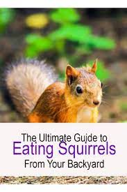 Can You Eat Squirrel From Your Backyard Safely In 2021 Backyard Squirrel Squirrel Hunting