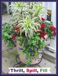 Check spelling or type a new query. The Thrill Fill Spill Method For Planting A Container Or Urn Multi Testing Mommy Plants Garden Containers Container Gardening