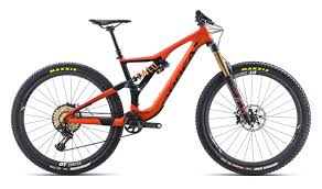 Image result for Orbea maculata