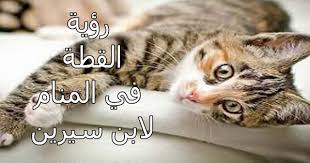 وأوضحت المصادر أنَّ الجهات الأمنية بمكة المكرمة تُحقق في قضية الاعتداء على شاب بطلقة نارية في قدمه، قبل تسديد طعنات له وضربه بعصا غليظة بعد سقوطه على الأرض بطريق الساحل في منطقة الخضراء. ØªÙØ³ÙŠØ± Ø­Ù„Ù… Ù‚Ø·Ø© ØªÙ‡Ø§Ø¬Ù…Ù†ÙŠ Ù„Ø§Ø¨Ù† Ø³ÙŠØ±ÙŠÙ† Ù…Ù‚Ø§Ù„