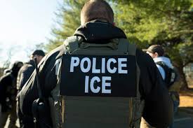 Colombian national 'broke ICE agent's nose' during attempted arrest in New  Jersey - AOL