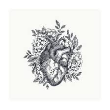 If you liked this tutorial, see also the following drawing guides: Valentines Day Card Anatomical Heart With Flowers Vector Illustration Art Print Adehoidar Art Com Human Heart Tattoo Anatomical Heart Tattoo Heart Flower Tattoo