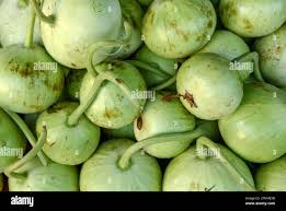 Image result for Cucurbitaceae