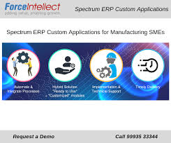 Erp Custom Applications Spectrum Business Challenge Business Process