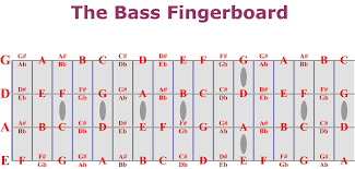 Bass Fretboard Chart Musicademy