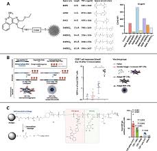 Check spelling or type a new query. Evolution Of Toll Like Receptor 7 8 Agonist Therapeutics And Their Delivery Approaches From Antiviral Formulations To Vaccine Adjuvants Sciencedirect