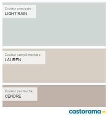 Son tarif horaire brut, 35 € ht en moyenne ; Peinture Light Rain Colours Nuancier Peinture Peinture Castorama Peinture Interieur