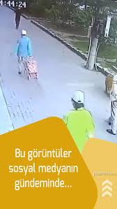 adamin kafasina once kedi dustu sonra ayakkabi giyen bir kopek yardimina geldi kedi kopek ayi