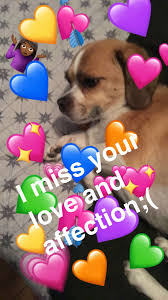 I Miss U I Miss U Miss Affection