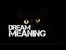 This means you false beliefs or fantasies that feel responsible. Dream Meaning Cat Attack Youtube Youtube