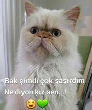 Ayy Bende Sasirdim Valla Komik Seyler Komik Komik Resimler