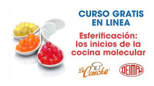 El instituto se reserva el derecho de cancelar o posponer el. Curso Esferificacion Los Unicos De La Cocina Molecular Youtube