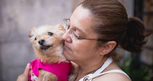 Mi mascota, mi familia: la historia de Dora, Daniel y Luzita