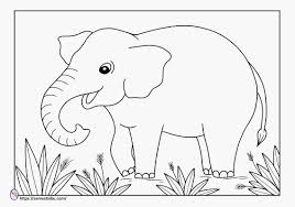 Buku mewarnai ini terdiri dari 23 halaman a4 dengan format file pdf. Animal Coloring Pages Elephant