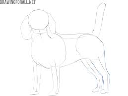 First, draw the upper jaw, then draw the lower. How To Draw A Realistic Dog