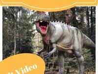 Dinosaurier Museum Altmuhltal Dinopark Kinder Ausflug Fossilien Ausflug Dinosaurier Museum Dinosaurier Park