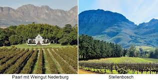 A country in the southern region of the african continent. South Africa Wein Plus Wine Lexicon