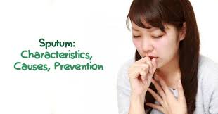 Image result for Sputum