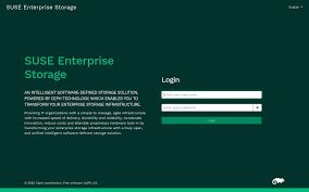 Examining performance problems from the perspective of . Administration And Operations Guide Suse Enterprise Storage 7