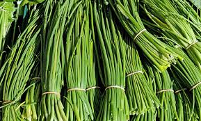 We did not find results for: Growing Chives The Complete Guide To Plant Grow And Harvest Chives