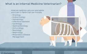 They are some of the best vetted employees in the country. Wildlife Veterinarian Job Profile