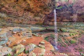 Maybe you would like to learn more about one of these? Cantwell Cliffs Dustyblues