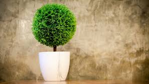 Pianta finta monstera piantine finte disney lampade giardinaggio giardinaggio copertura cintura giardinaggio pianta rotonda finta arredamento porta esche finte piante pendenti finte. Come Arredare Un Appartamento Con Le Piante Artificiali Dilei
