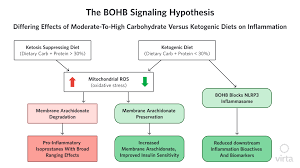 The keto diet can certainly be effective for quick weight loss, says kim yawitz, rdn, a dietitian in private practice in st. Inflammation Nutritional Ketosis And Keto Immune Modulation New Insights Into How Virta Can Reverse Type 2 Diabetes