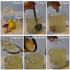 Faire Du Kefir De Fruits Kefir D Eau Atelier Naturel Kefir De Fruit Kefir D Eau Kefir