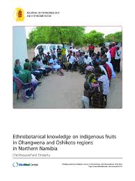 Image result for Pygmaeothamnus zeyheri