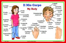 Italian Language School Poster Italian Words About Parts Of The Body With English Translat Spanish Language School Italian Language Learning Italian Language