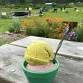 Fiddlehead Creamery event in Chimacum, WA